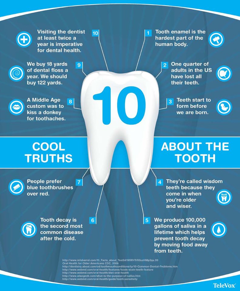 Tooth Facts